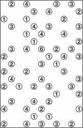 Medium-size Hashi puzzle